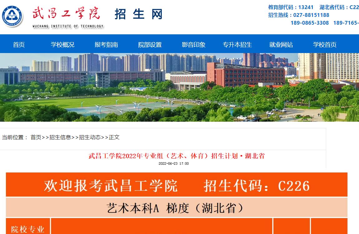 武昌工学院2022年专业组（艺术、体育）招生计划·湖北省
