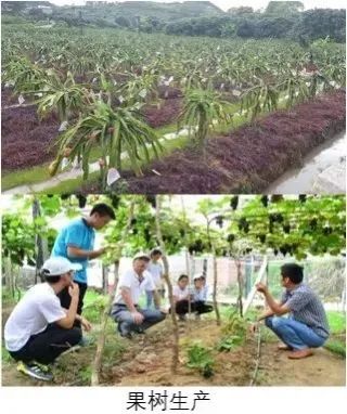 福建农林大学2022园艺专业简介