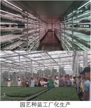 福建农林大学2022园艺专业简介