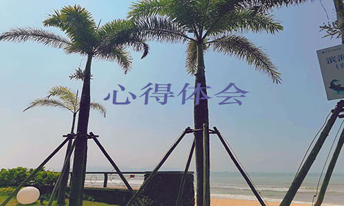 【家訪心得】幼兒園新生家訪心得體會精選5篇