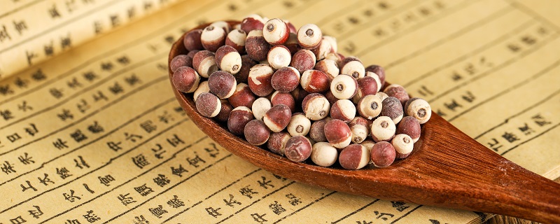李时珍是哪个朝代的人物 本草纲目的介绍