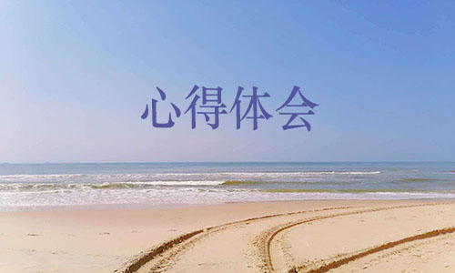 【培訓(xùn)心得體會】執(zhí)行力培訓(xùn)心得體會