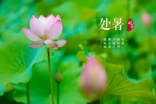 2022年處暑以后會(huì)降溫嗎-2022處暑以后溫度會(huì)降到多少度