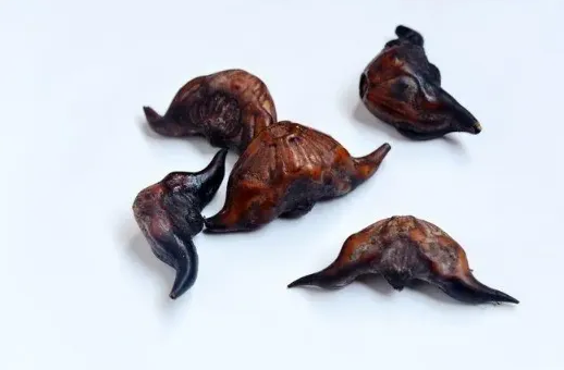 菱角為什么不能和蜂蜜一起吃-菱角和蜂蜜一起吃會(huì)怎么樣