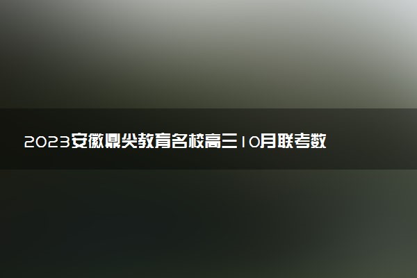 2023安徽鼎尖教育名校高三10月聯(lián)考數(shù)學(xué)答案及試卷解析匯總（已更新）