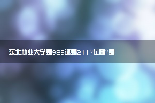 東北林業(yè)大學是985還是211？在哪？是幾本？附東北林業(yè)大學2022錄取分數(shù)線